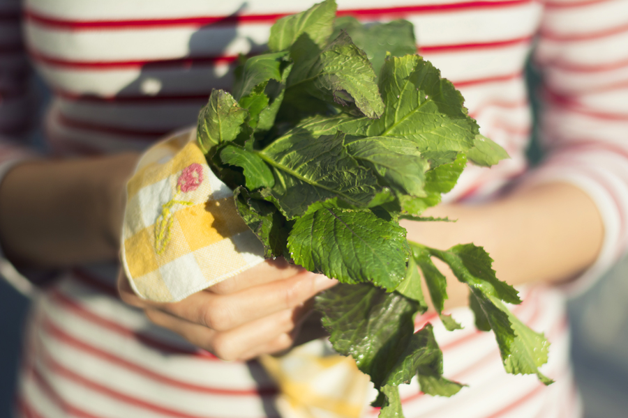 ricette senapini cucina consapevole
