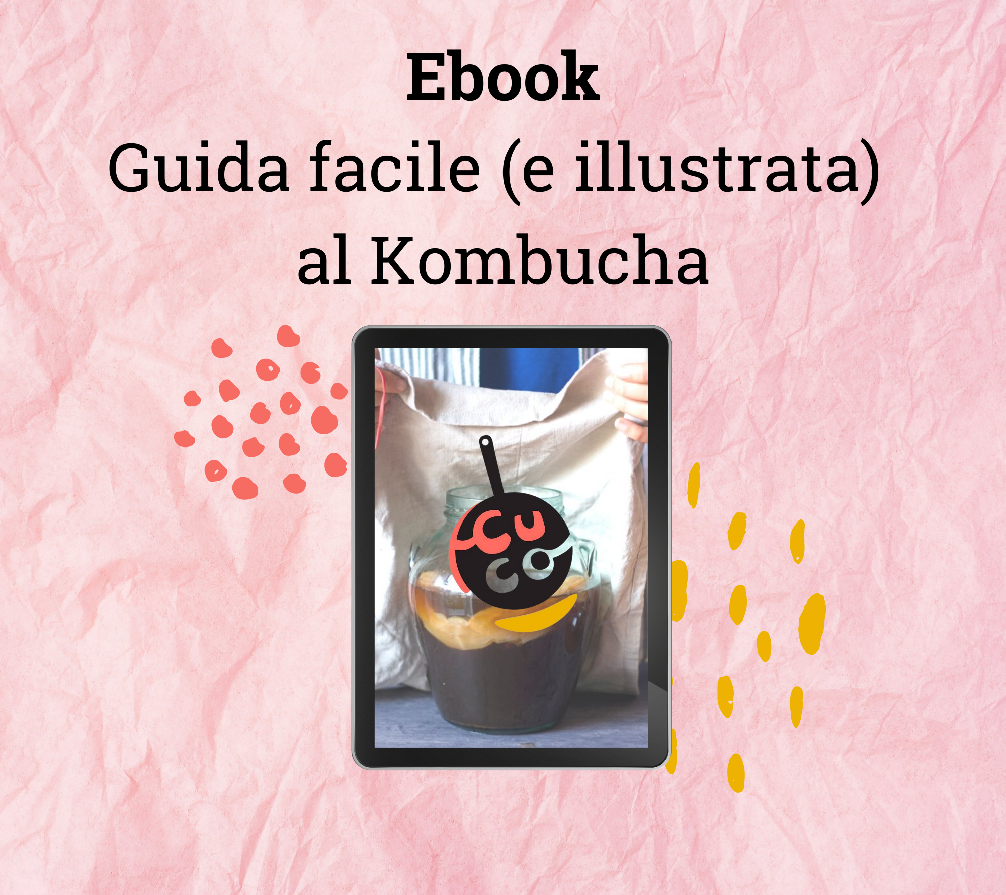guida al kombucha